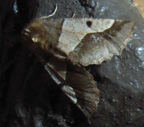 �O�T�E�P�Q�E�R�P�B�e�B