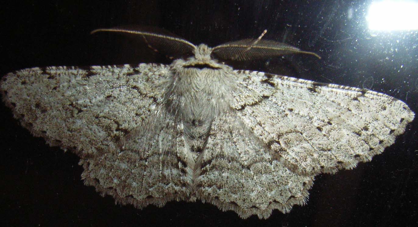 �O�U�E�S�E�Q�W�B�e