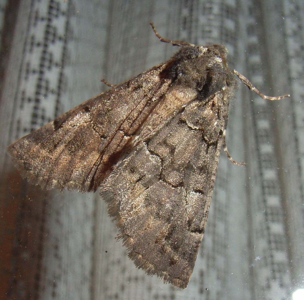 �O�U�E�S�E�Q�X�B�e