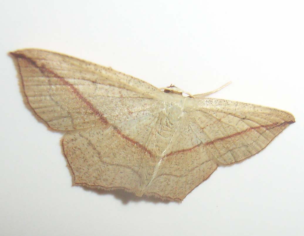 �O�U�E�W�E�P�P�B�e�B���O�g�C���̕ǁB