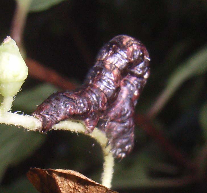 �O�U�E�X�E�Q�����R����