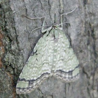 �O�V�E�P�O�E�Q�P�B�e�B