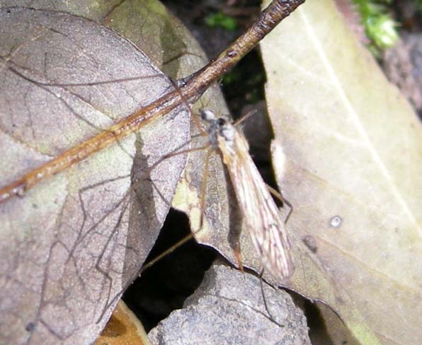 �O�V�E�S�E�P�T�B�e�B�O�C���Q�Q��